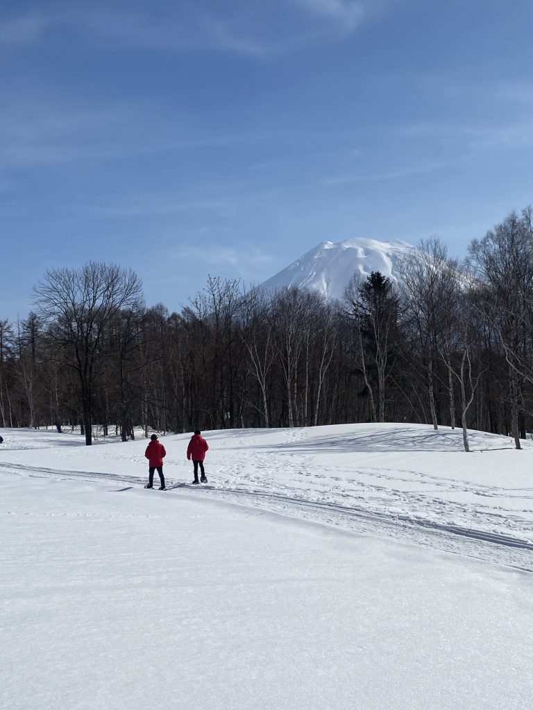 【ニセコ】2026スノーシュー体験開始しました（Powder Niseko Snowshoe Experience in 2026）